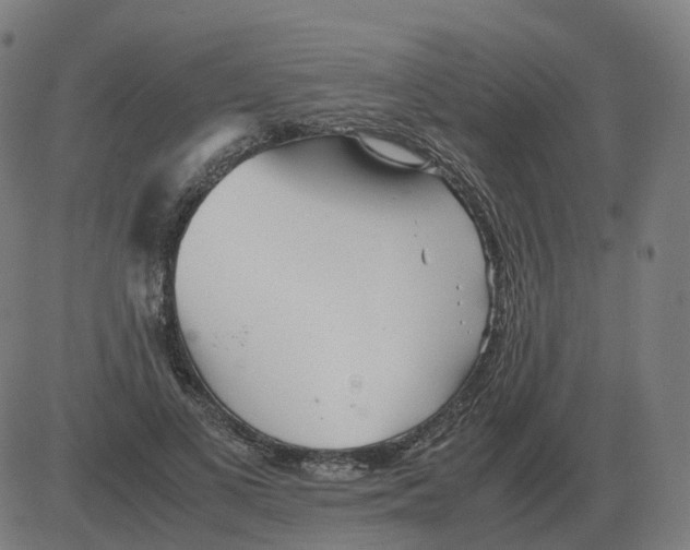 X0000081490693200702100030