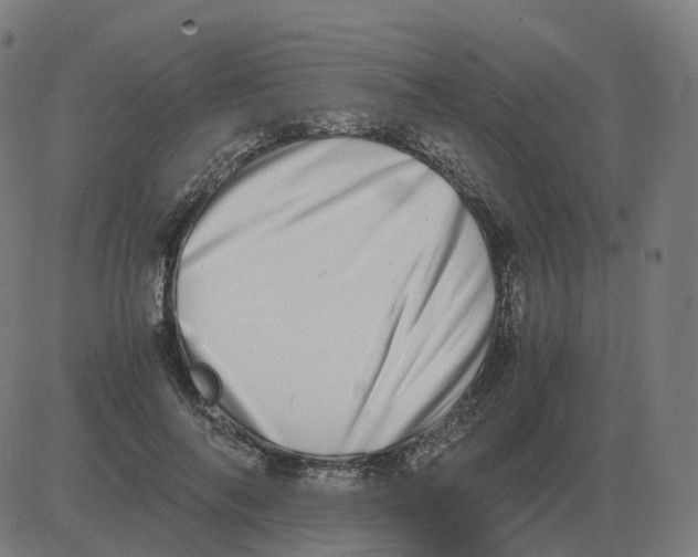 X0000081490694200702100030