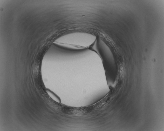 X0000081490697200702100030