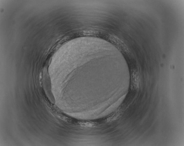 X0000081490698200702100030