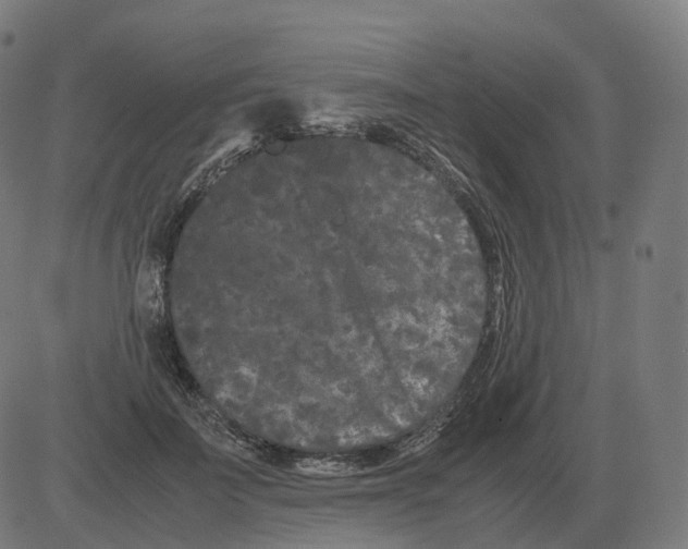 X0000081490699200702100030