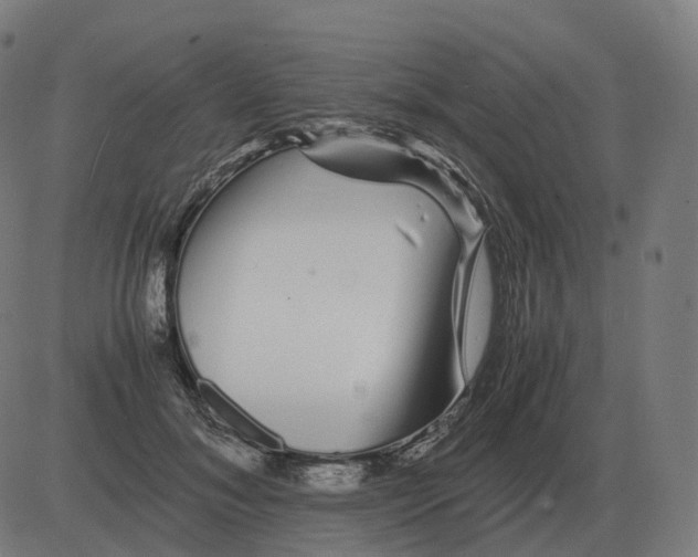 X0000081490700200702100030