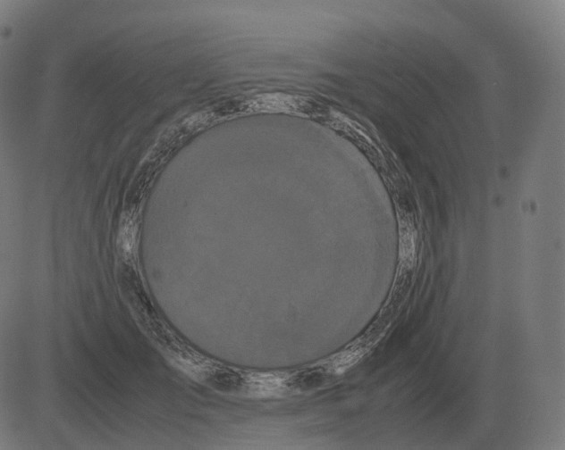 X0000081490701200702100030