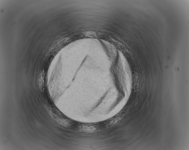 X0000081490702200702100030