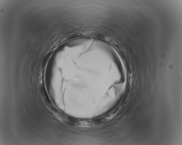 X0000081490703200702100030