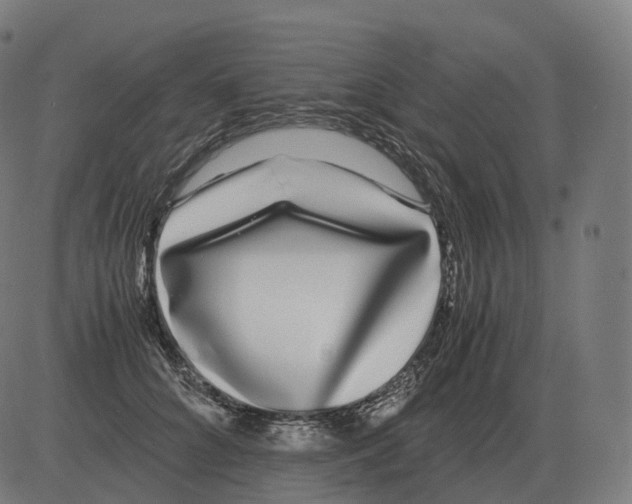 X0000081490704200702100030