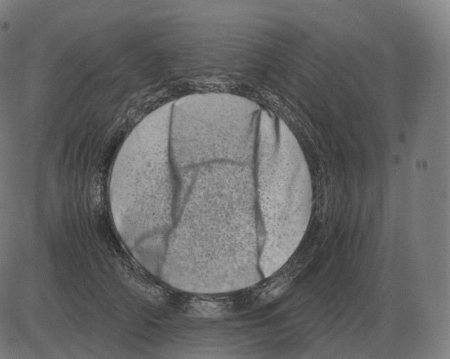 X0000081490706200702100030