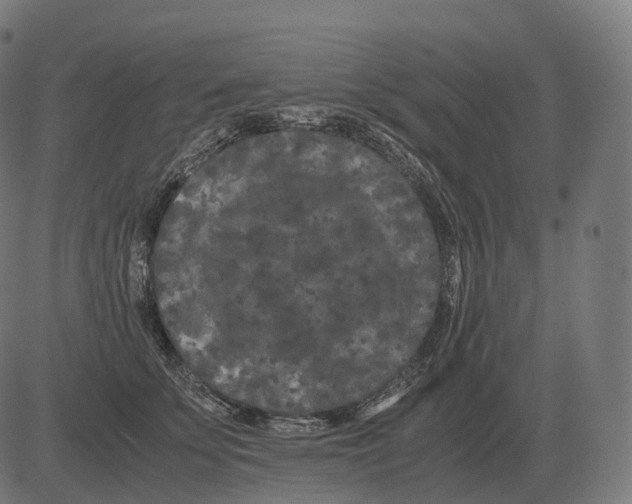 X0000081490707200702100030