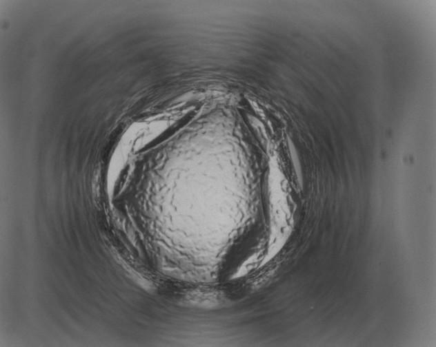 X0000081490708200702100030