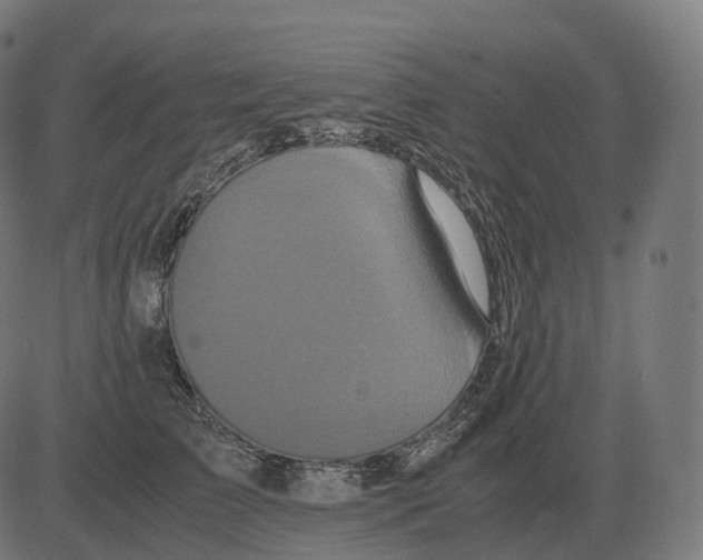 X0000081490709200702100030