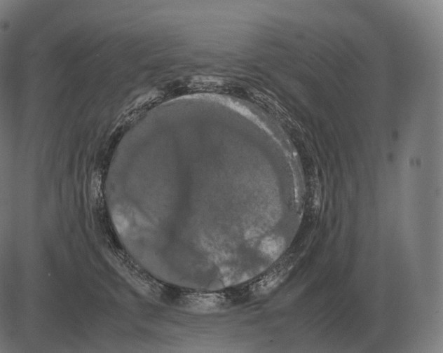 X0000081490711200702100030