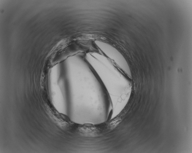 X0000081490712200702100030