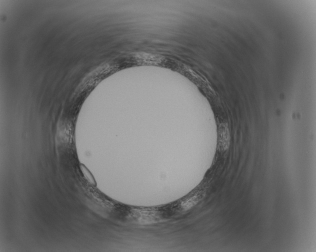 X0000081490713200702100030