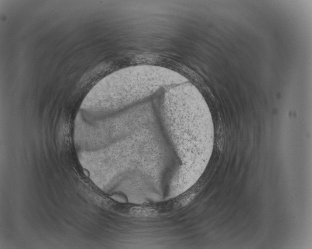 X0000081490714200702100030