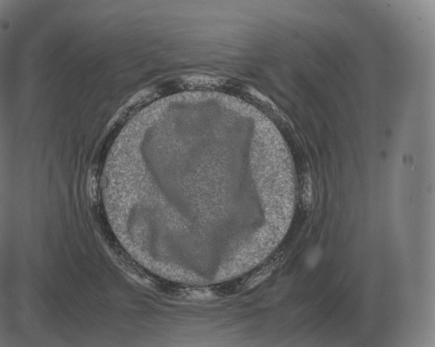 X0000081490715200702100030