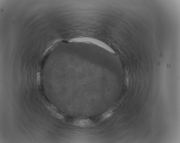 X0000081490716200702100030