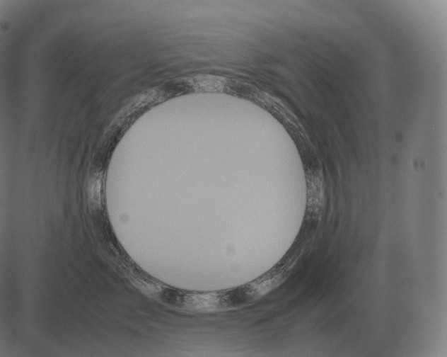 X0000081490717200702100030