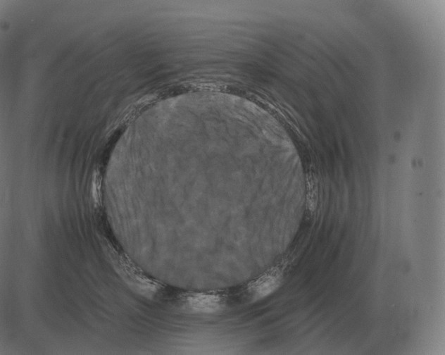 X0000081490718200702100030