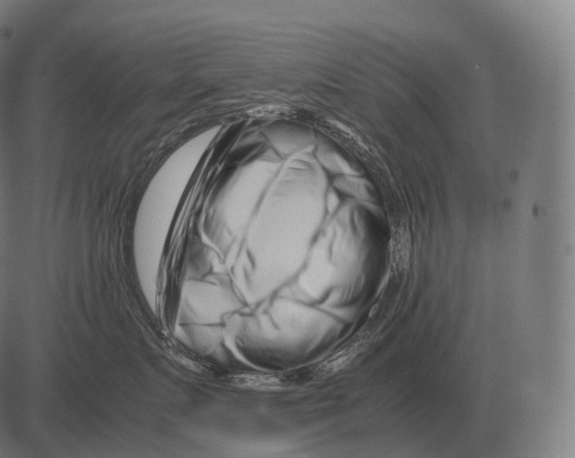 X0000081490719200702100030