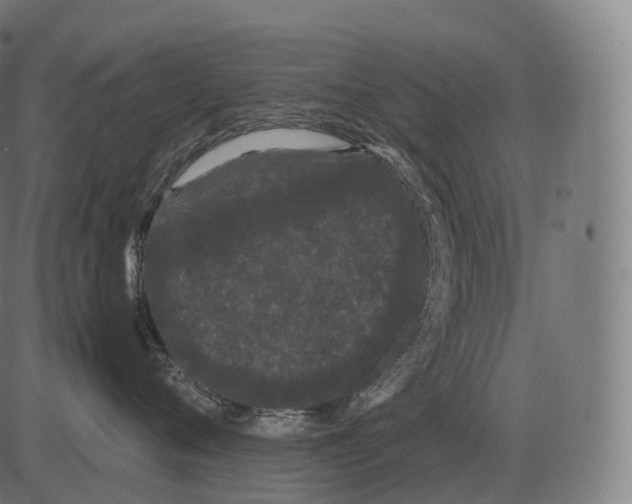 X0000081490720200702100030