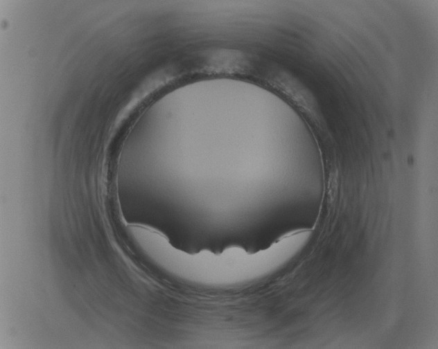 X0000081490722200702100029