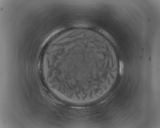 X0000081490723200702100029