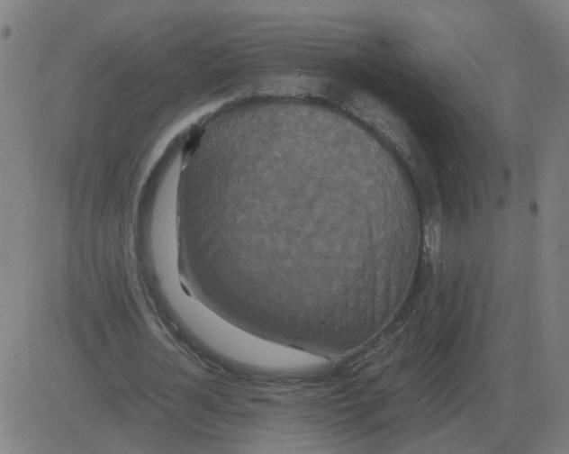 X0000081490724200702100029