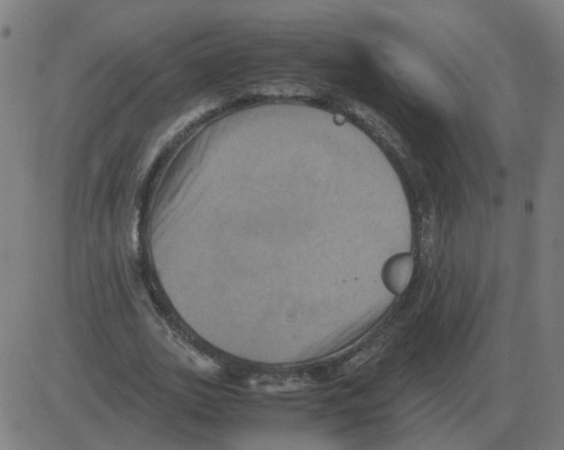 X0000081490727200702100029