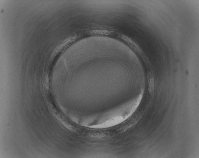 X0000081490729200702100029