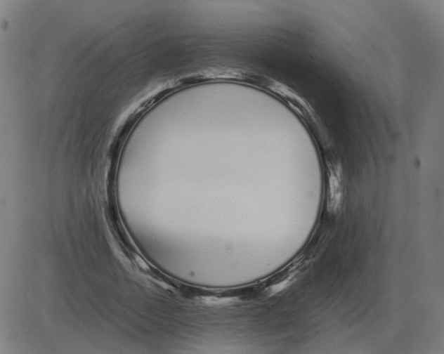 X0000081490730200702100029