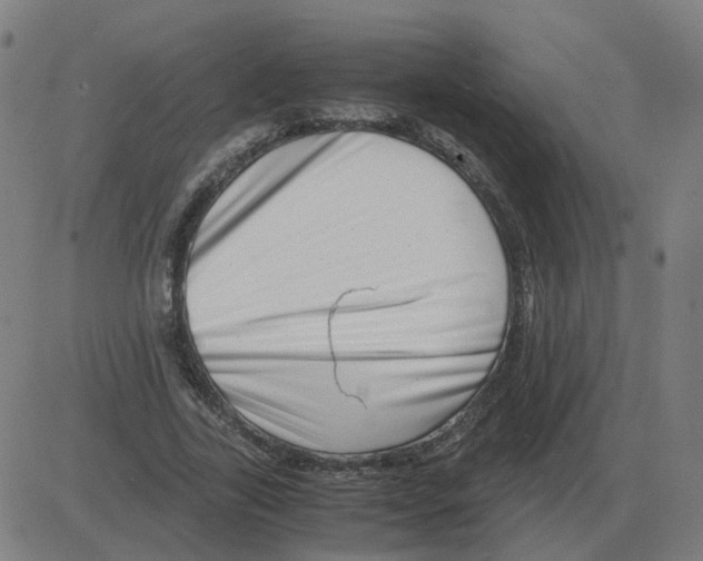 X0000081490731200702100029