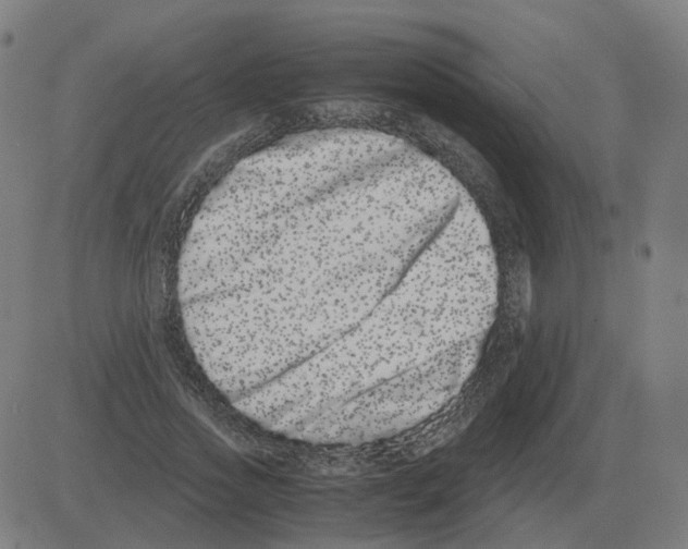 X0000081490733200702100029