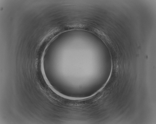 X0000081490735200702100029