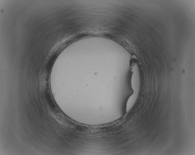 X0000081490736200702100029