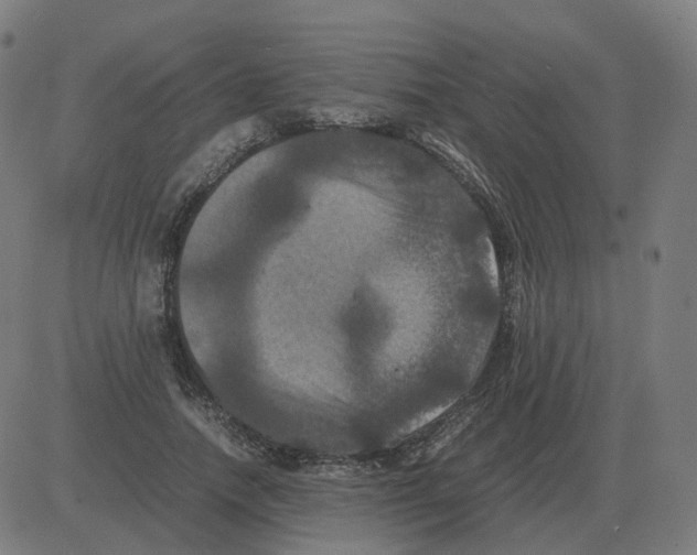 X0000081490738200702100029