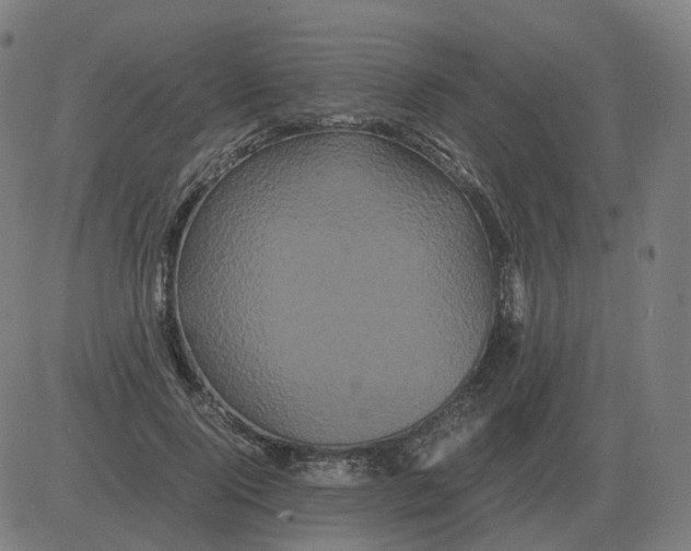 X0000081490740200702100029