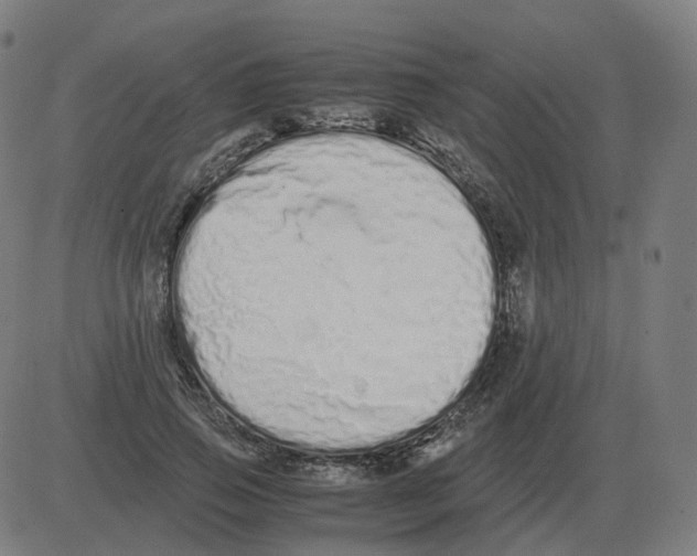 X0000081490741200702100029