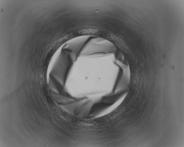 X0000081490743200702100029