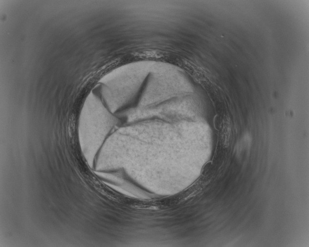 X0000081490747200702100029