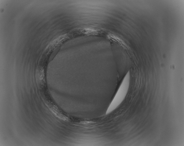 X0000081490748200702100029