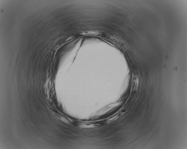 X0000081490749200702100030