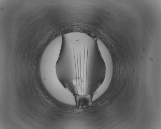 X0000081490750200702100030