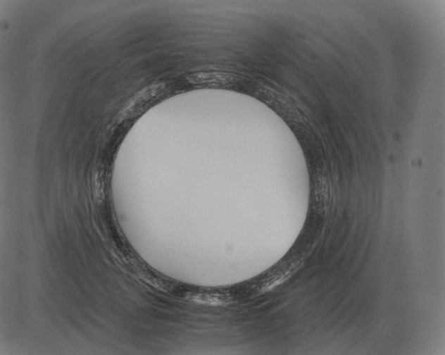 X0000081490751200702100030