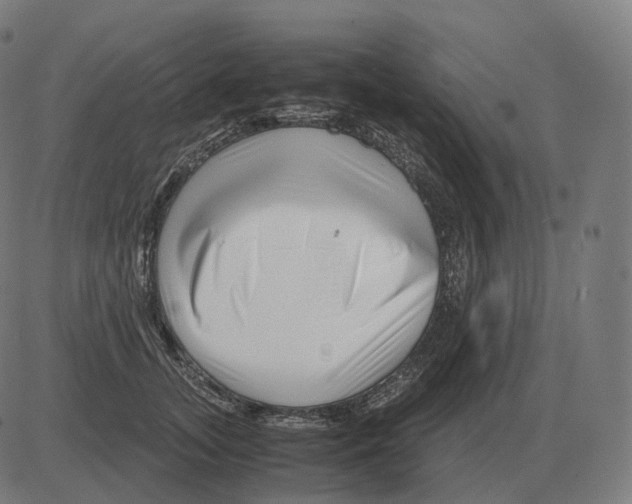 X0000081490755200702100030