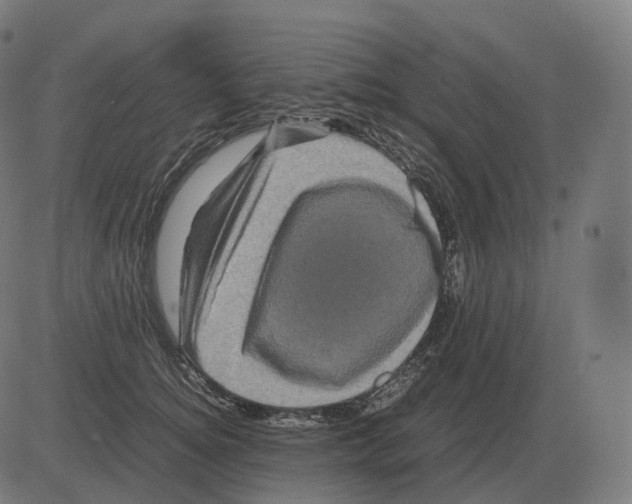 X0000081490756200702100030