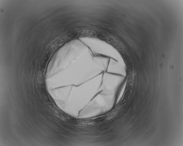 X0000081490757200702100030