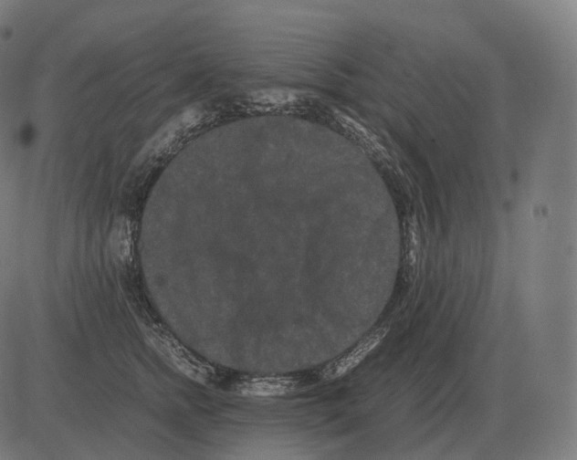 X0000081490758200702100030