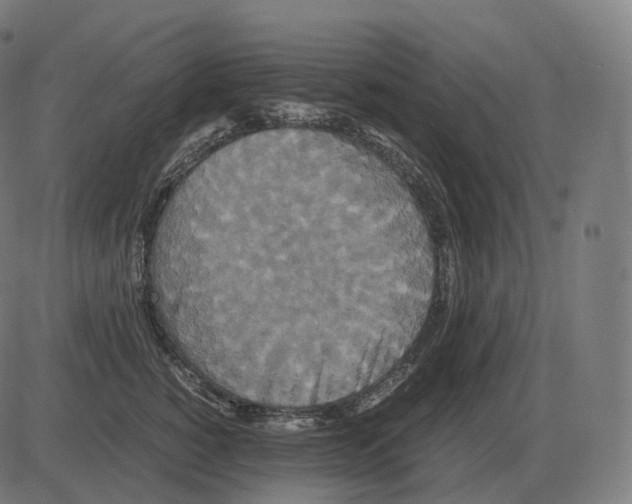 X0000081490760200702100030