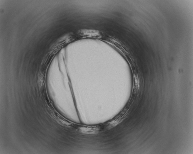 X0000081490761200702100030