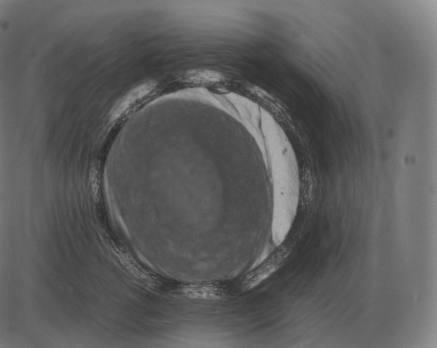 X0000081490762200702100030